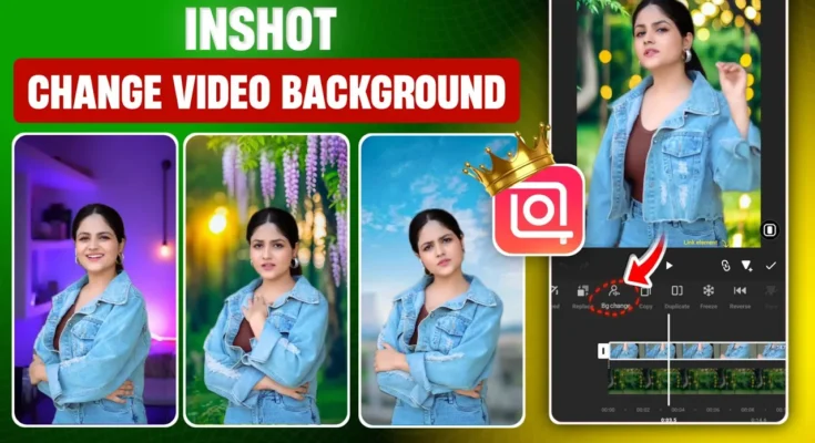 Inshot Video Background Change