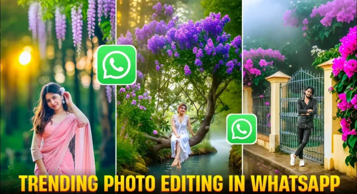 Whatsapp Se Photo Edit Kaise Kare